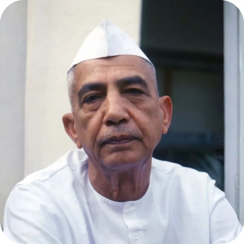 charan singh